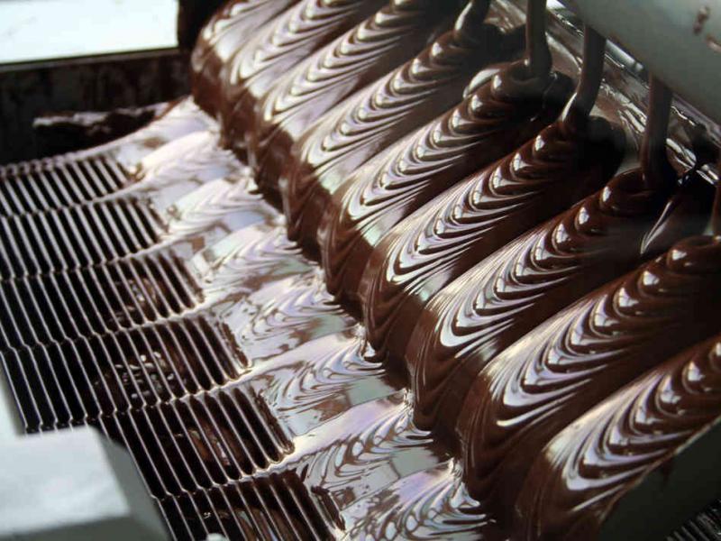 как открыть свое производство шоколада